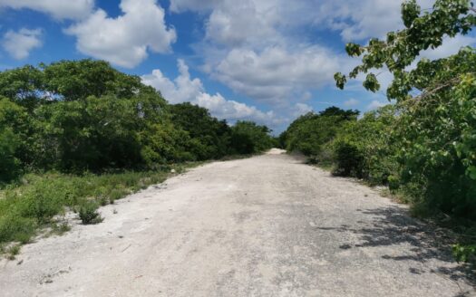 Invierte donde la historia, la belleza y el futuro se encuentran. Lotes residenciales en Izamal, Yucatán.